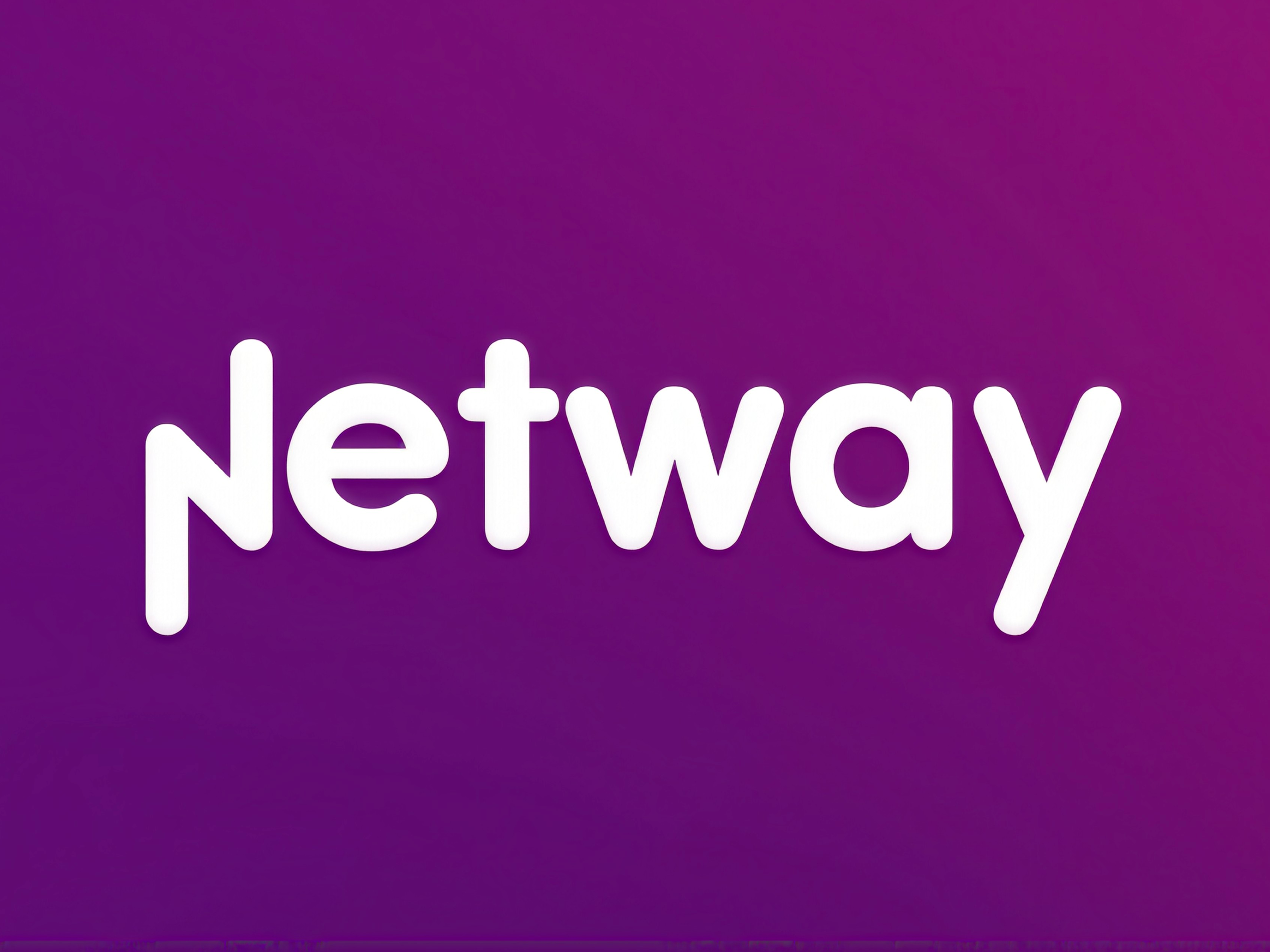 Netway brand identity