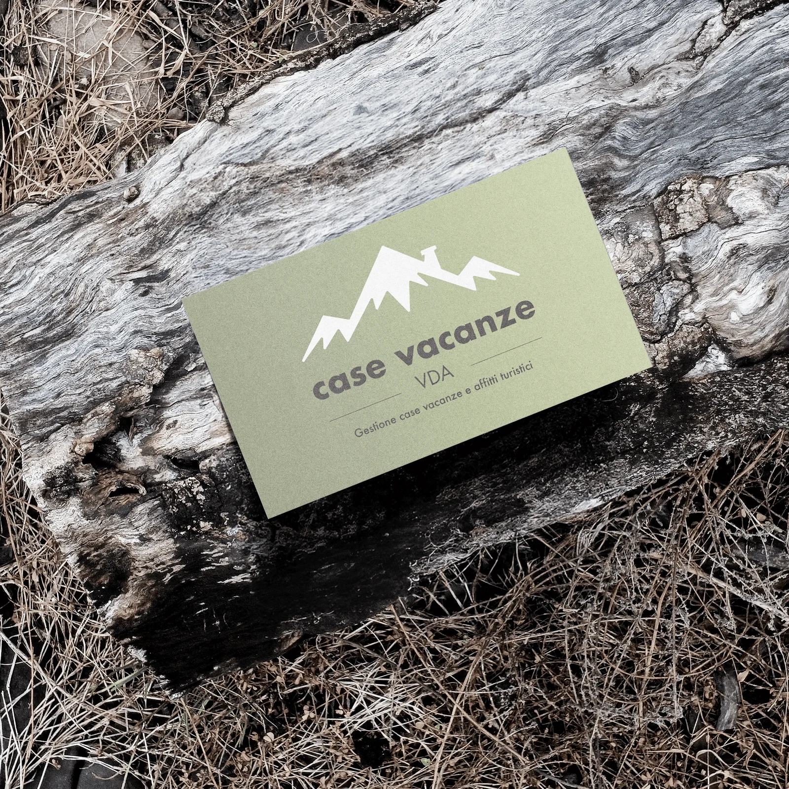 VDA Case Vacanze Logo Mark